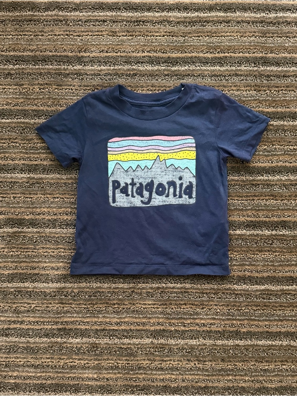 Patagonia Kids Navy Tee with Pastel Mountain Graphic